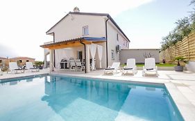 Villa Silver Novigrad With Private Pool